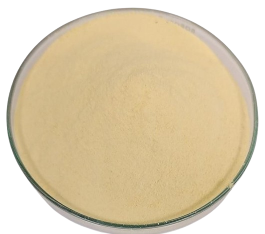 Mango Flower Honey
